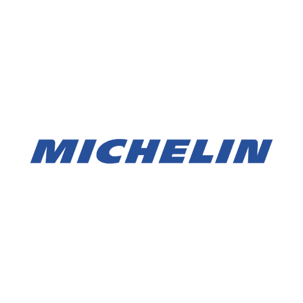 The Michelin company logo in bold blue italicized capital letters on a white background.